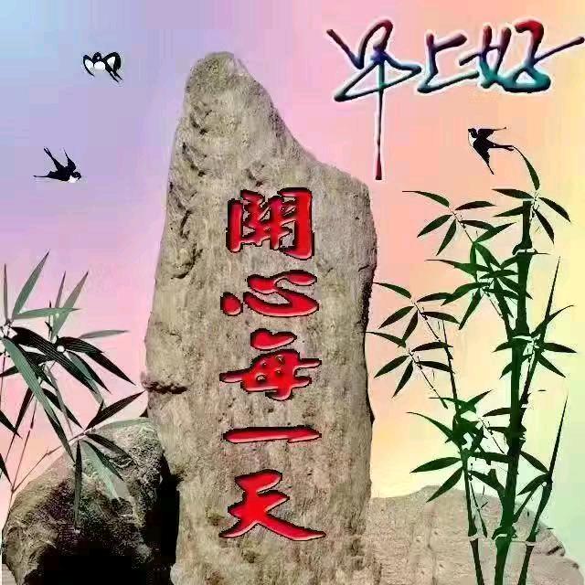 骄杨无限好