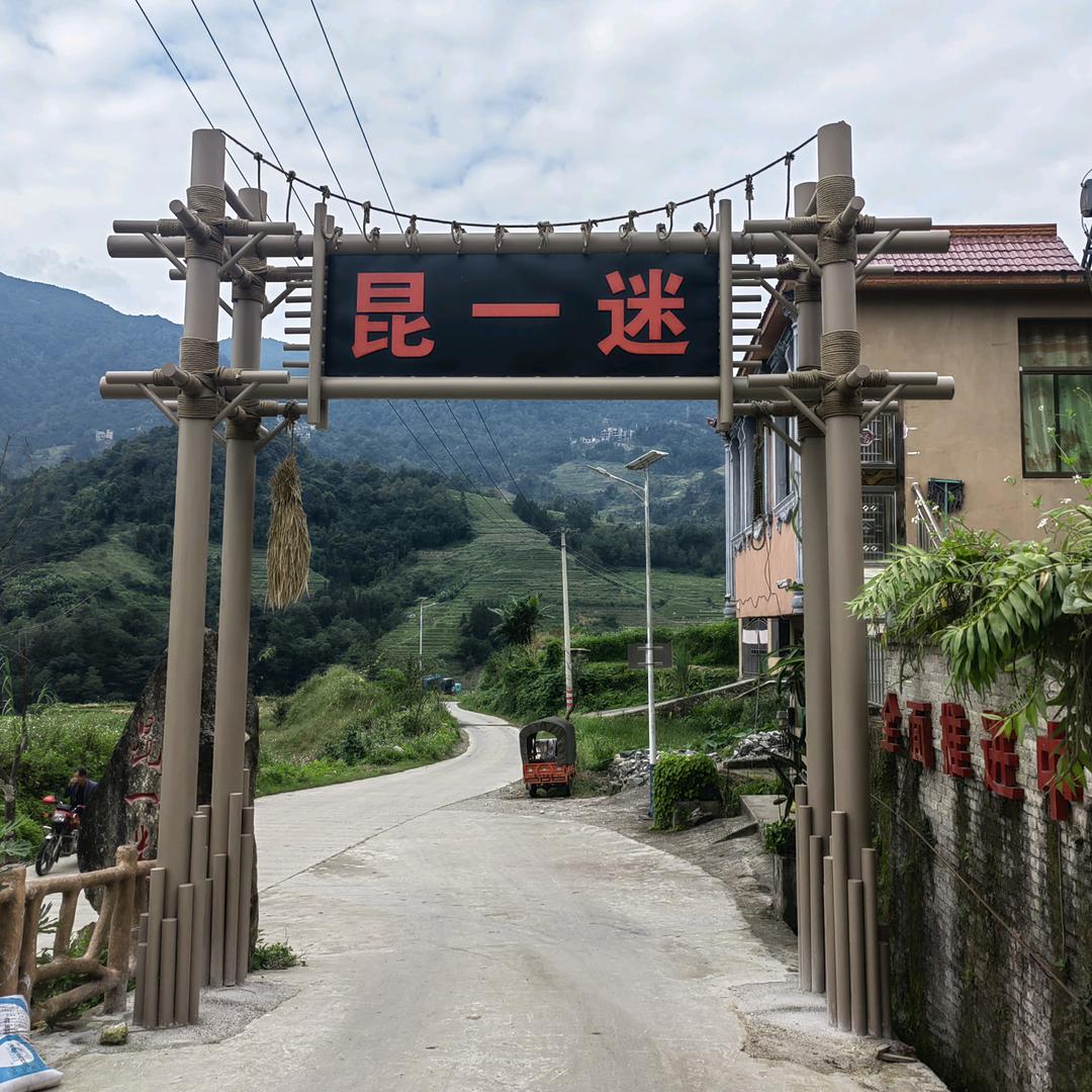 哈尼取猴在农村