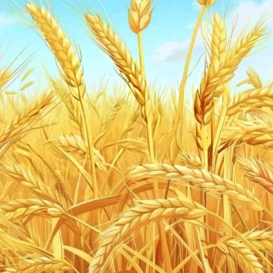 歲月無聲