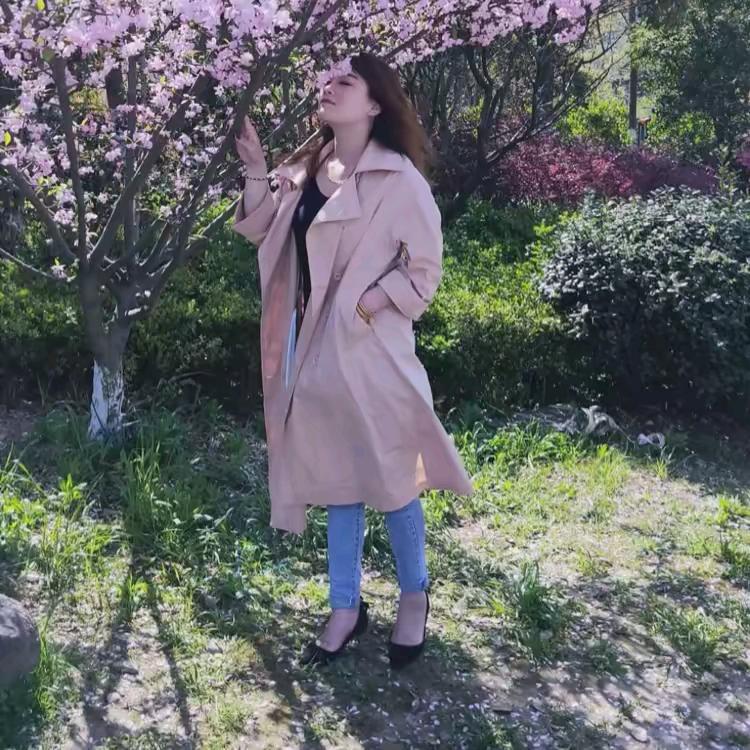 燕子
