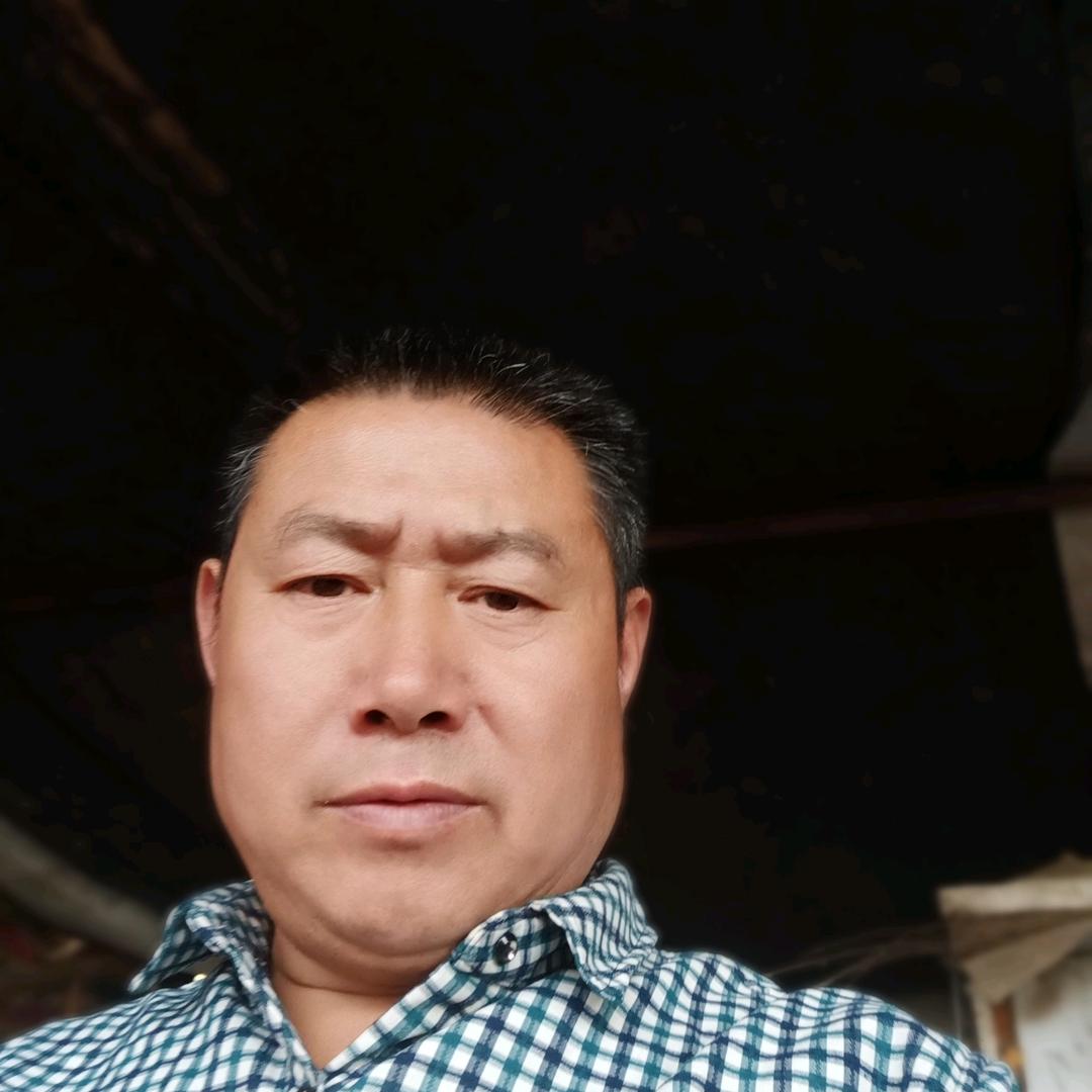 精品鲜果