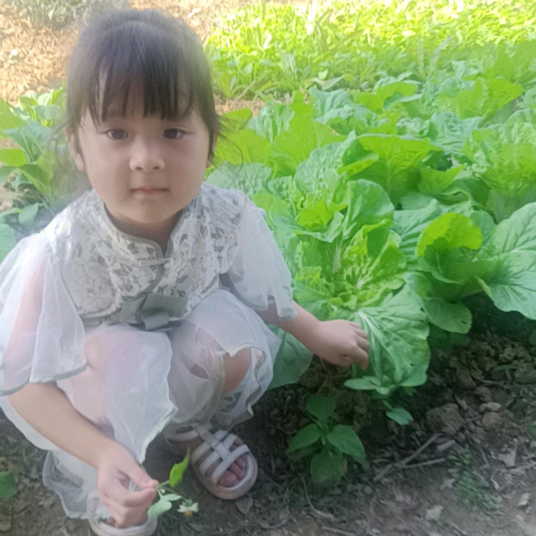 杜老大