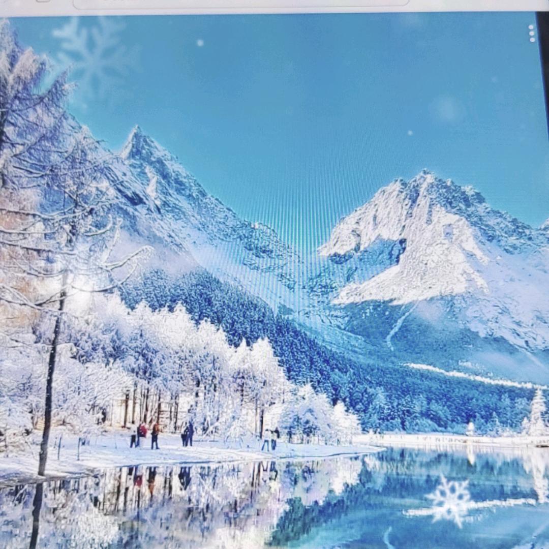 欧启燊服装经营部