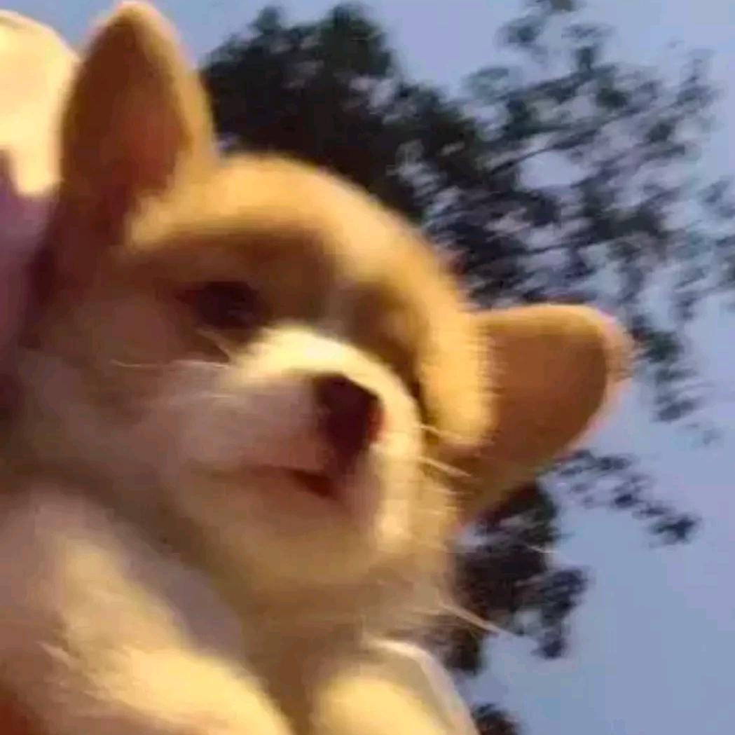 火乐