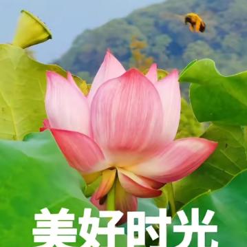 悠悠🍀岁月如流