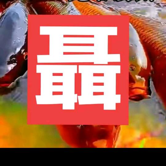 西北狼大叔🔥0732
