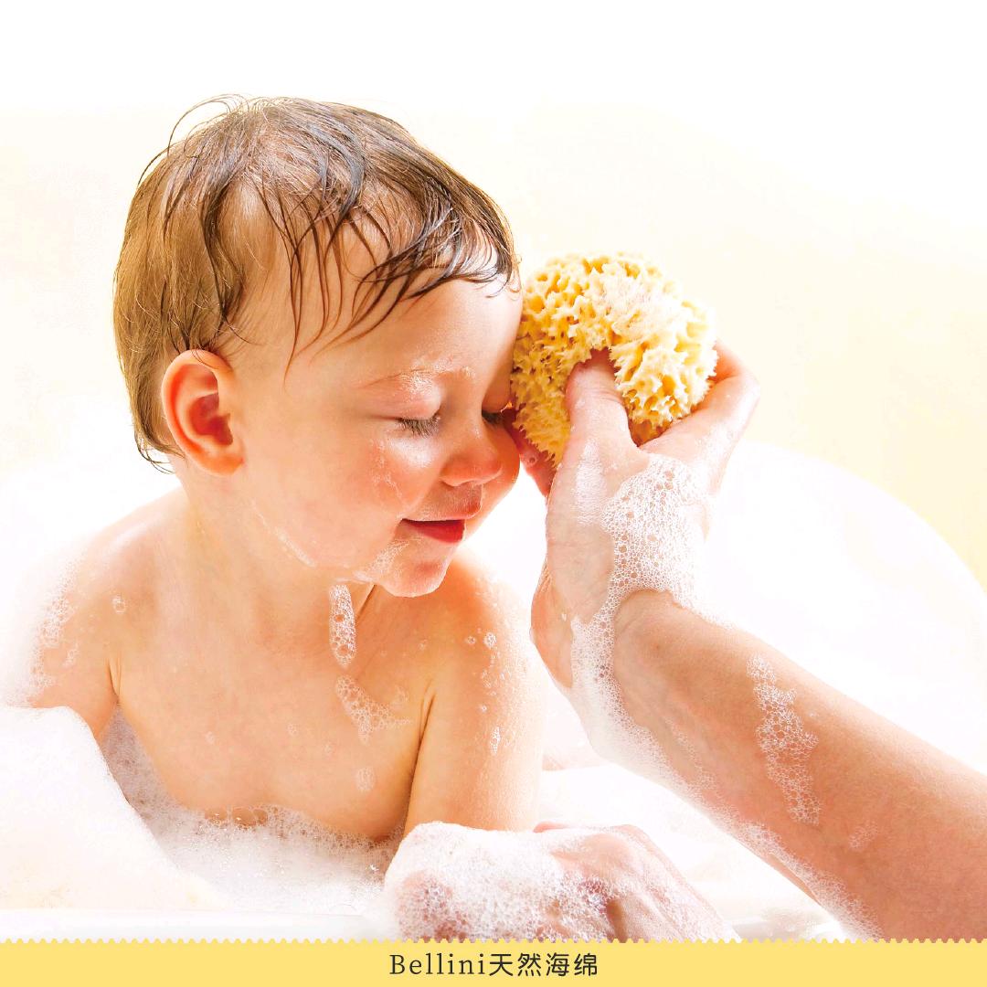 地中海Bellini天然海绵