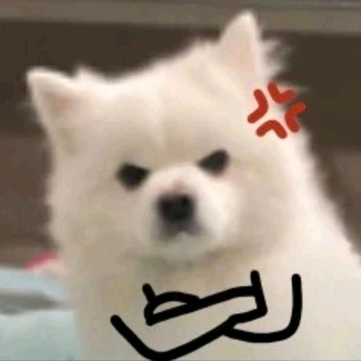 铁锅炖猪蹄♥