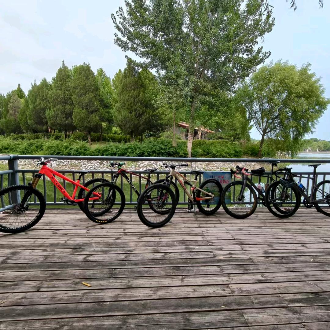 安平好市民(车友🐯🐯)