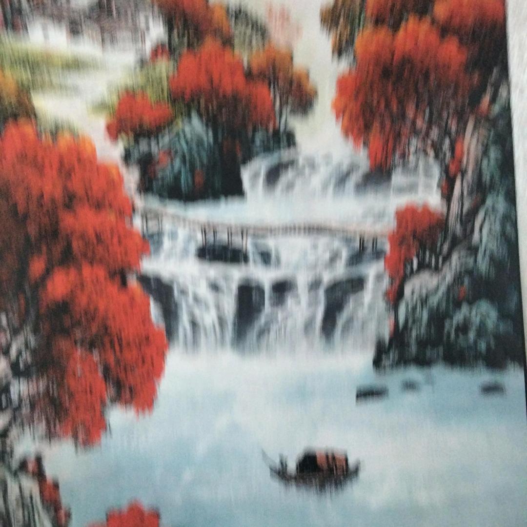 老魏大姜种植分享