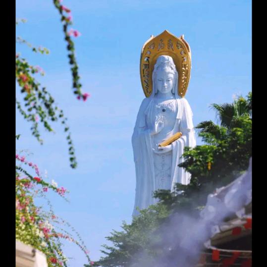 上善若水