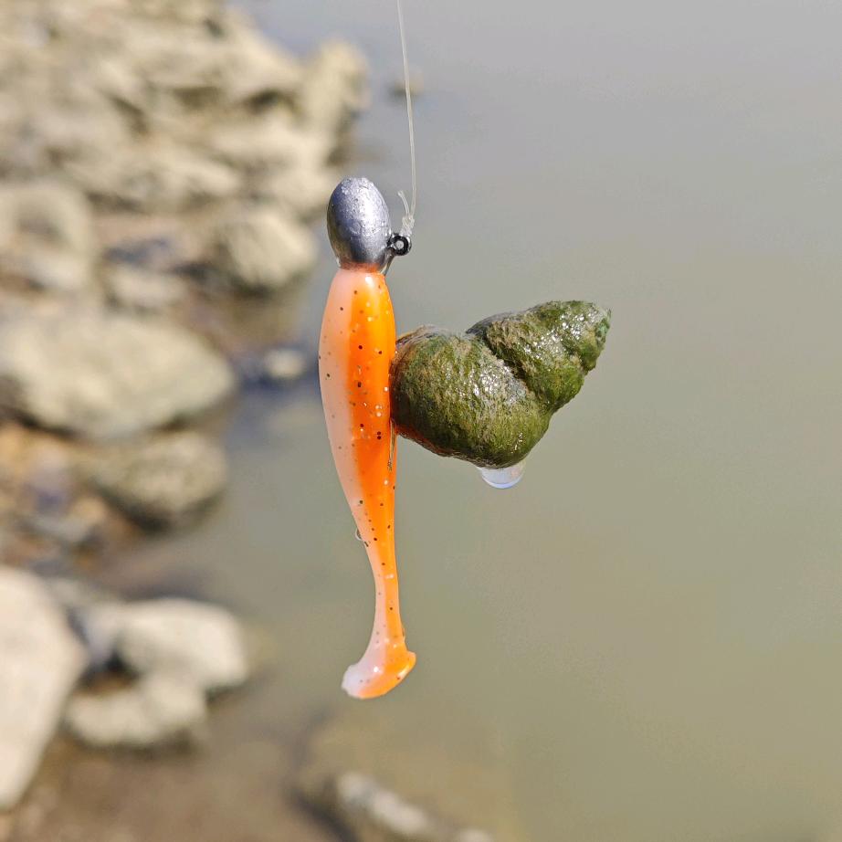 陳掌鳜🐬（路亚钓鱼）