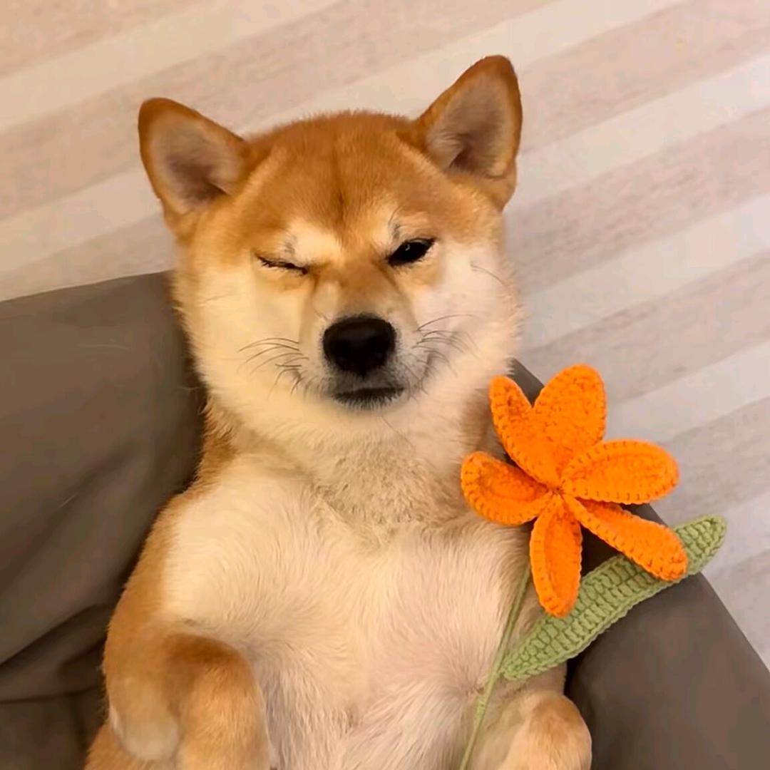 扇