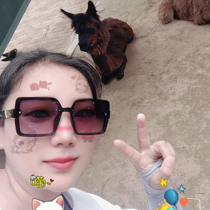 姣姣的日常