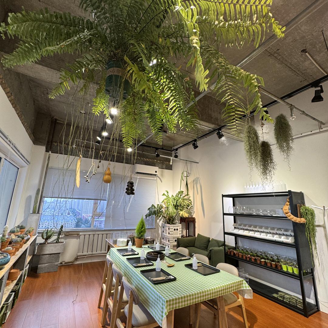 植语微景观工作室官方号