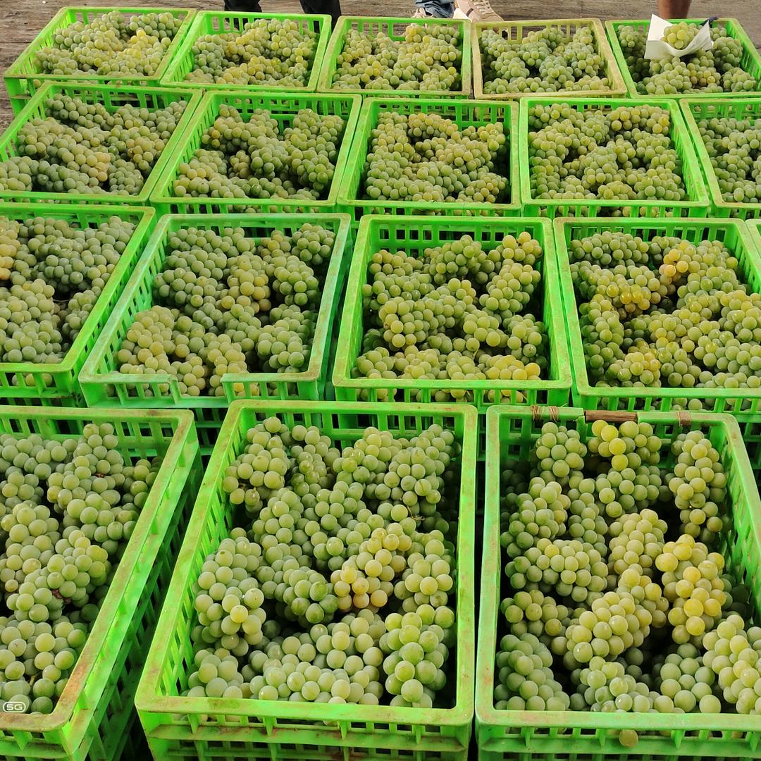 我的未来不是梦