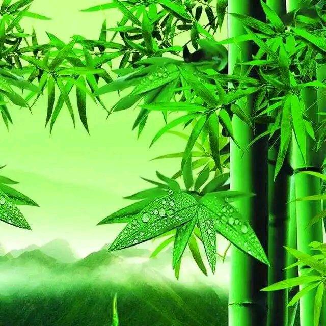 🏵珠圆玉润🏵
