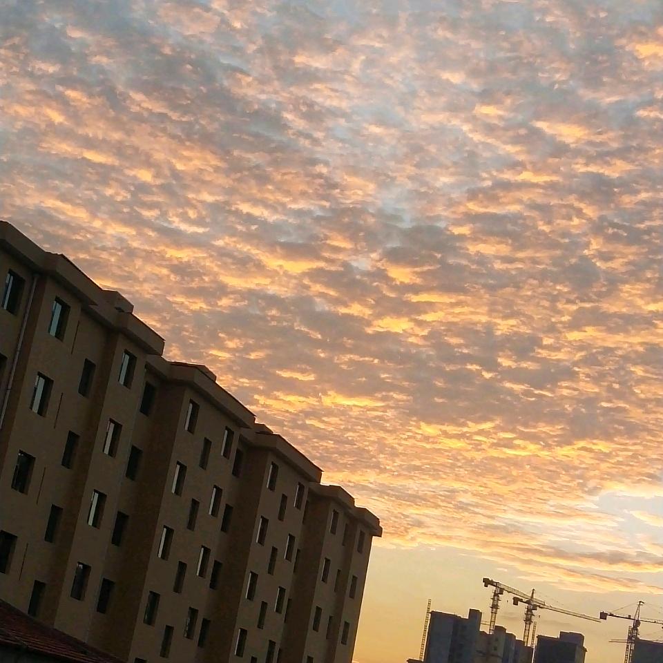 嗨大白