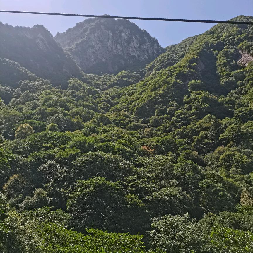 阿李的故事