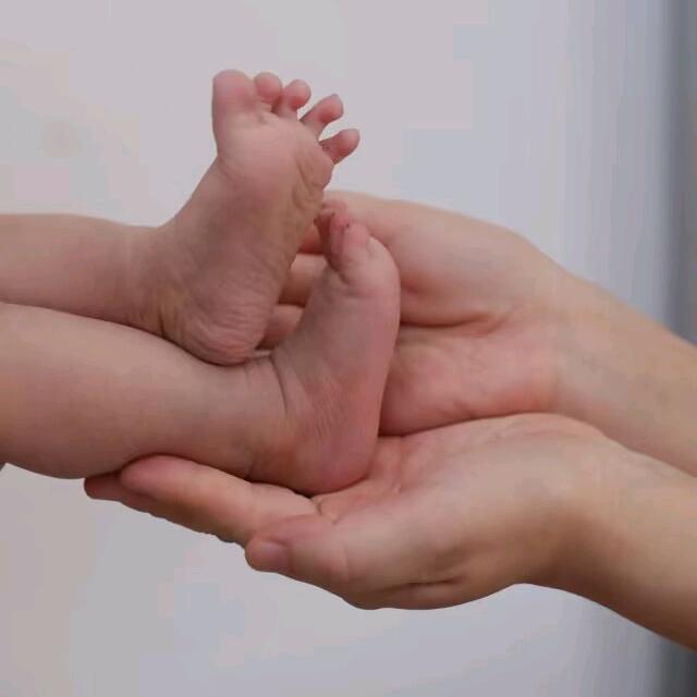 ღ勤劳的小蜜蜂᭄ꦿ࿐