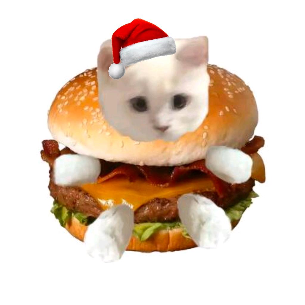 笙笙.