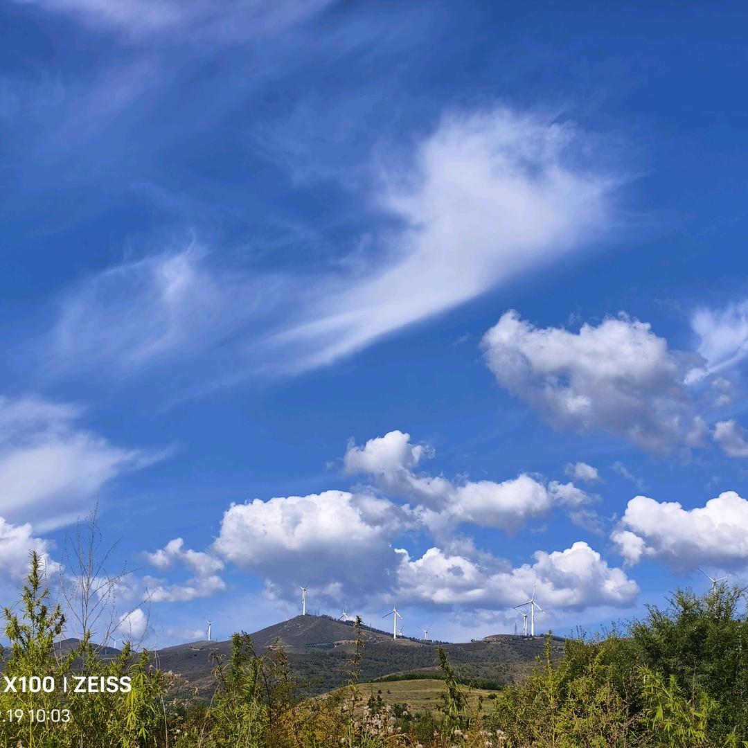 我不是你的小可爱