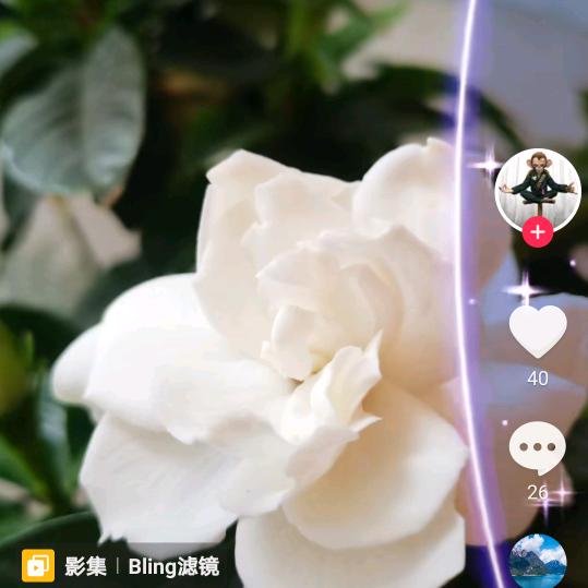 洪恩