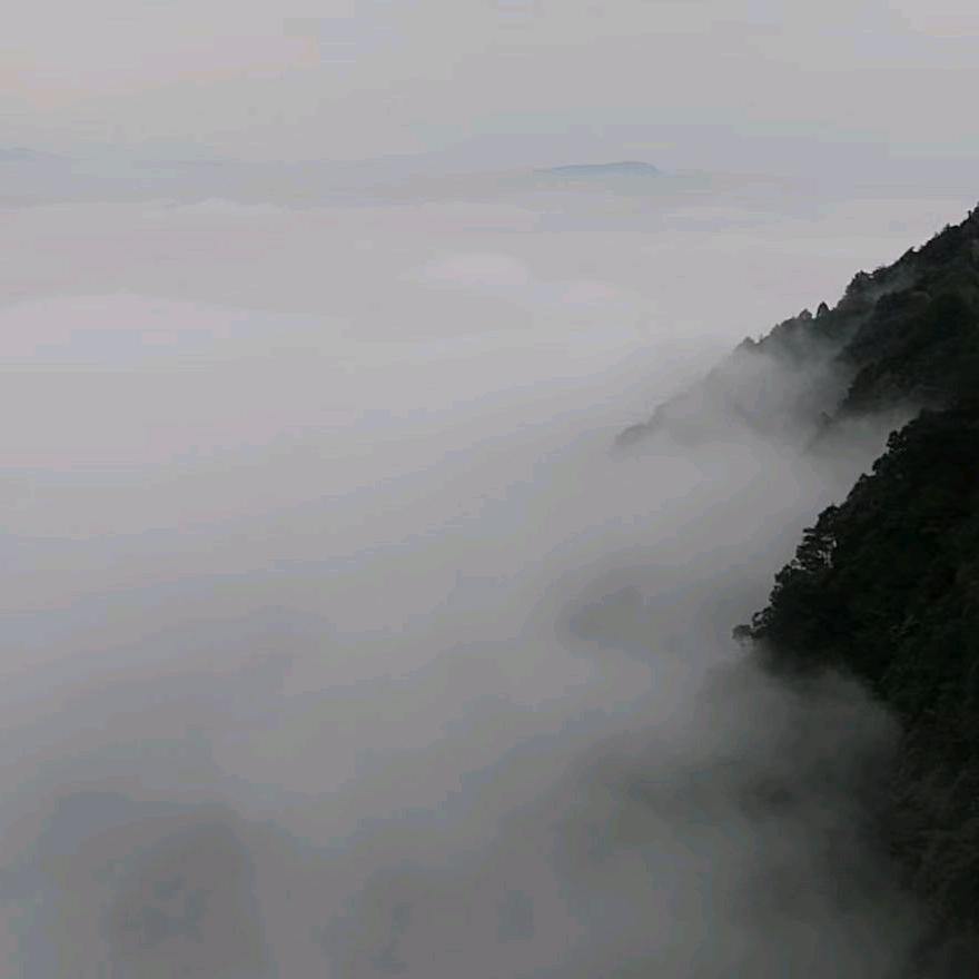 万马奔腾