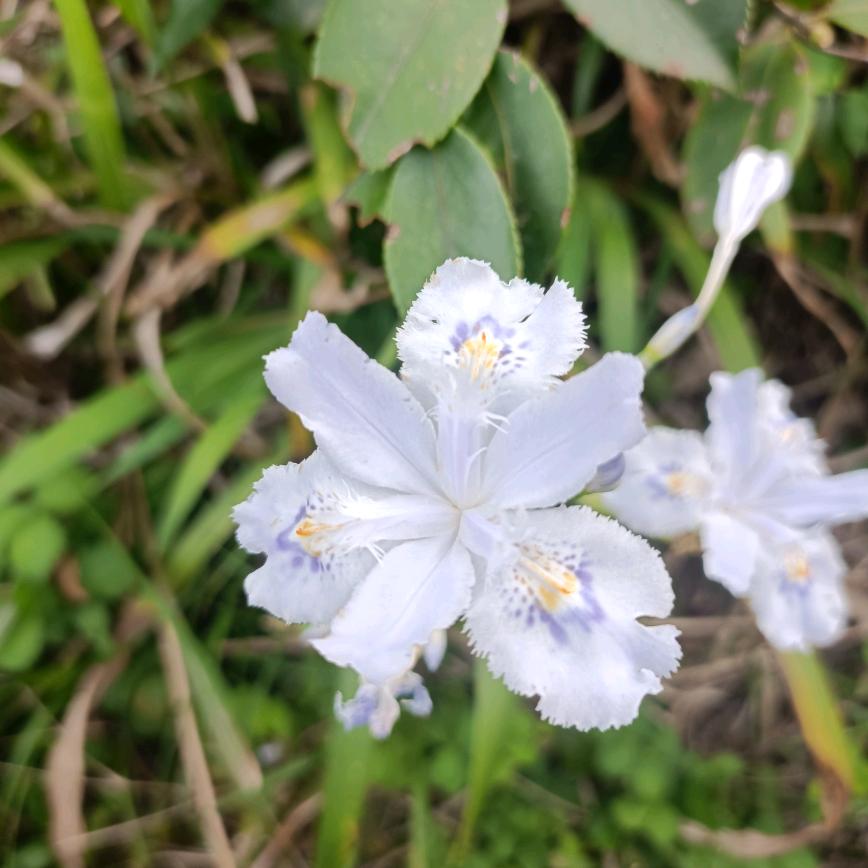 伟o( ❛ᴗ❛ )o少