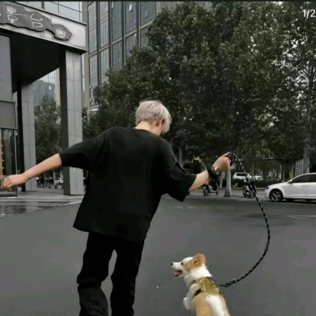 泡泡糖没有秋季