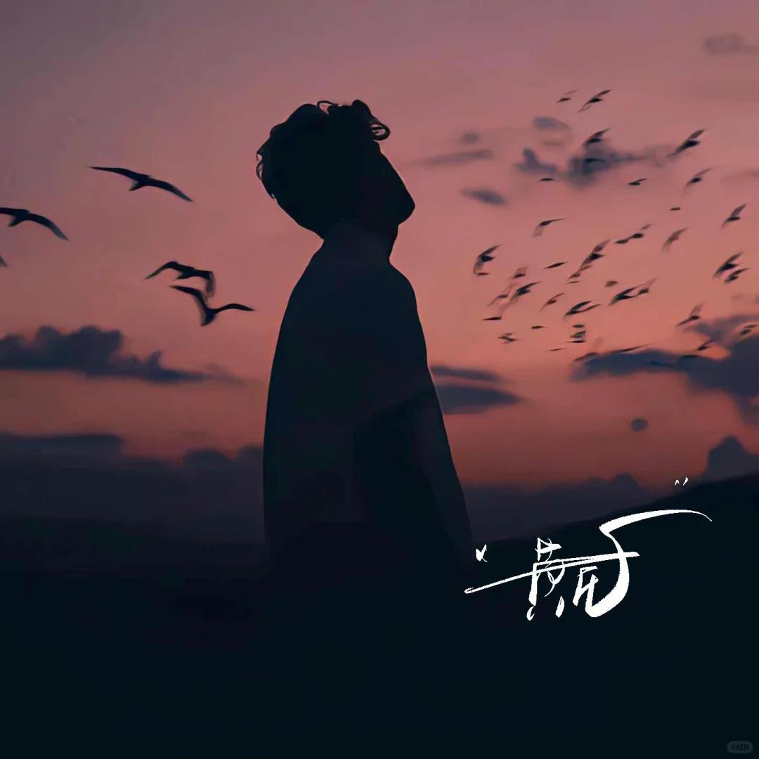 语轩✨怀旧音乐电台