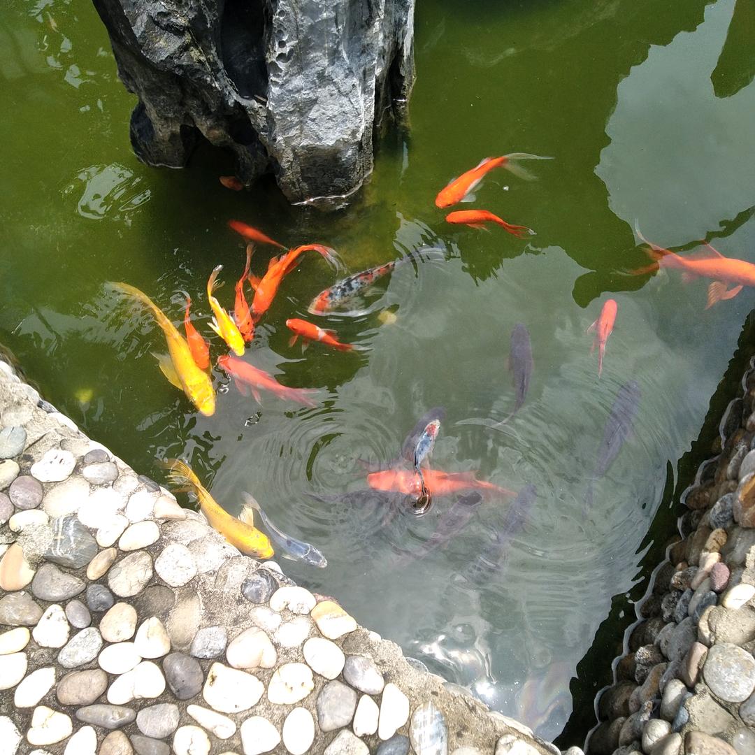 思维剪辑爱云