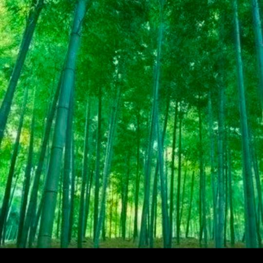 东山再起_150206329