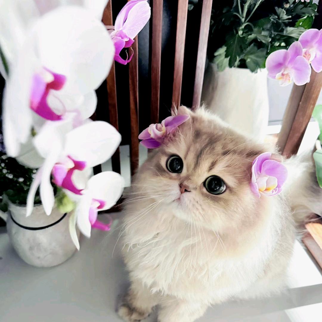 🌈M_沫璃