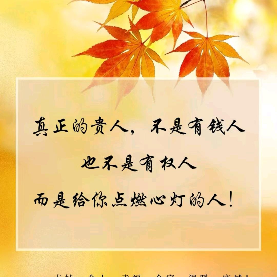 缘梦婷