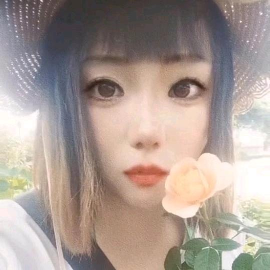 都江堰鸟语花香萍萍