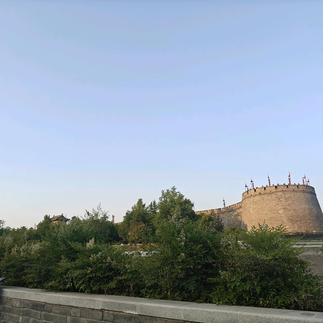 景子杰
