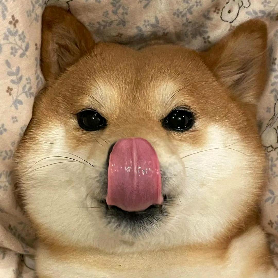 东.