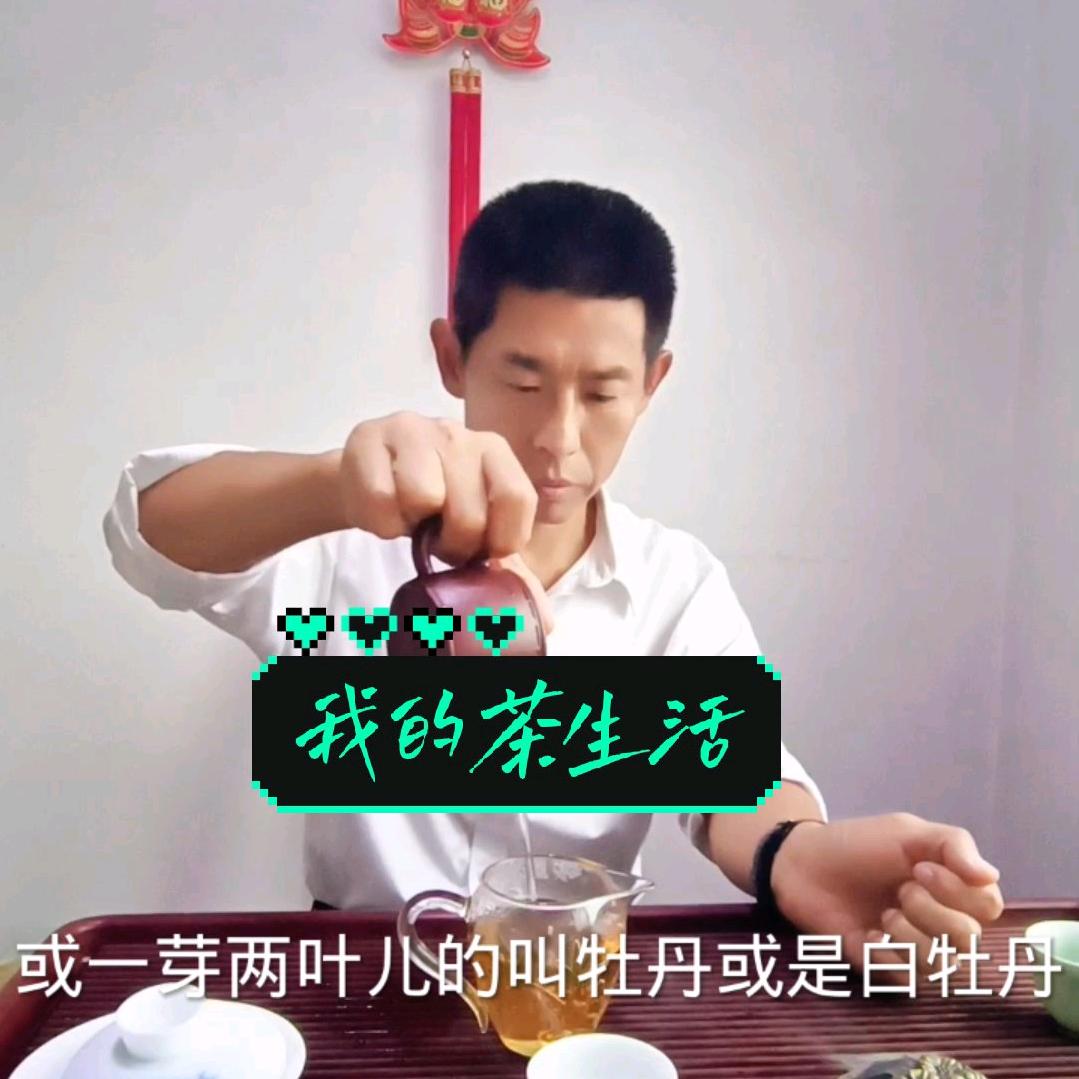 张老头的快乐生活