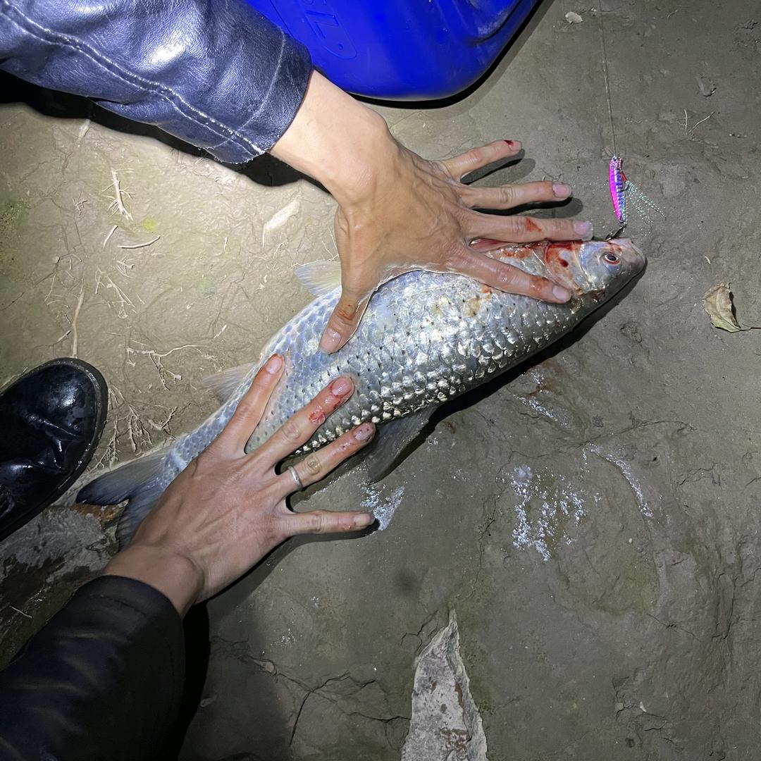 柳羽路亚