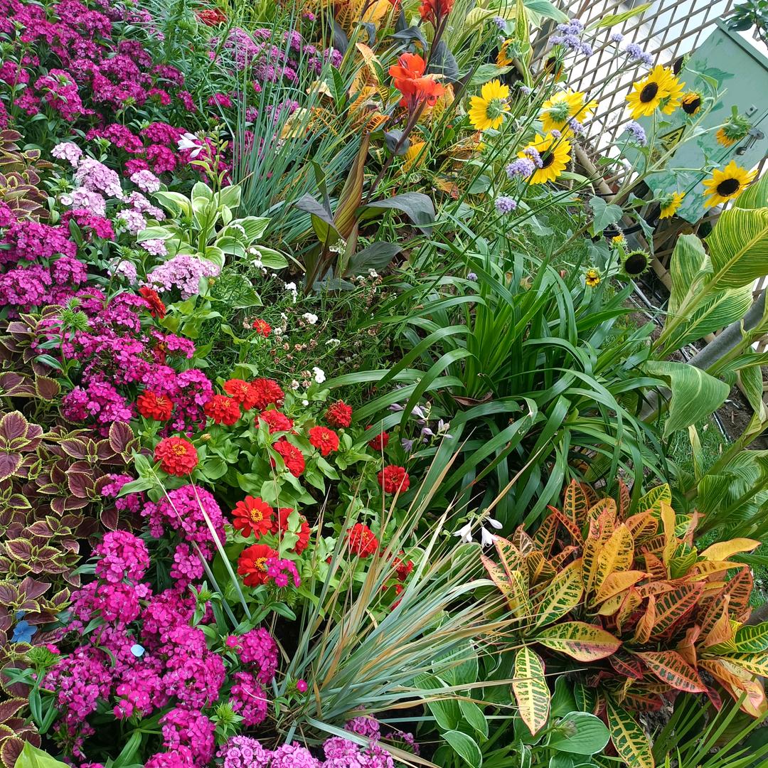 春暖花开，