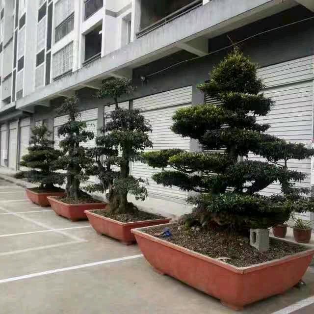 有缘来相识