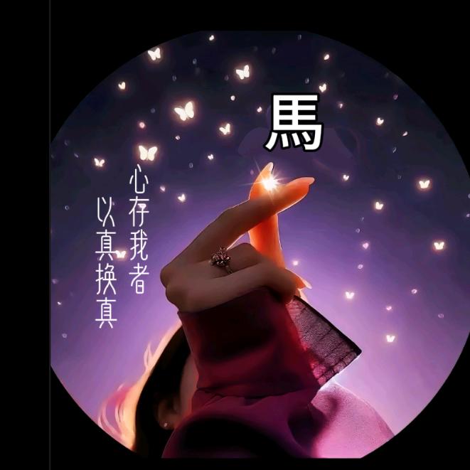 (❁´◡`❁)*✲ﾟ*流浪女子