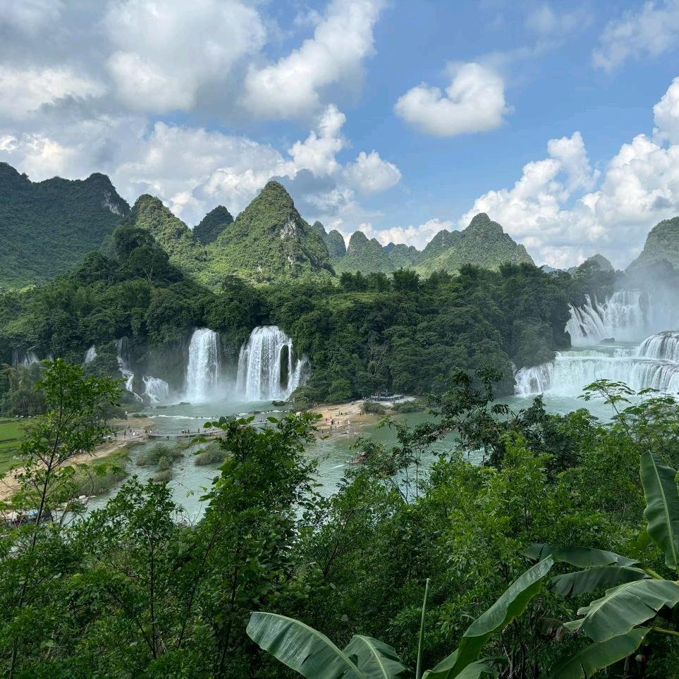 🌸🌸梦如初夏🎄🎄
