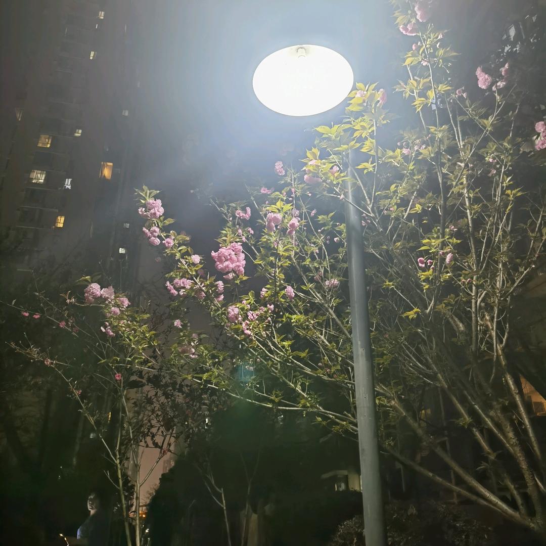 思钱想厚