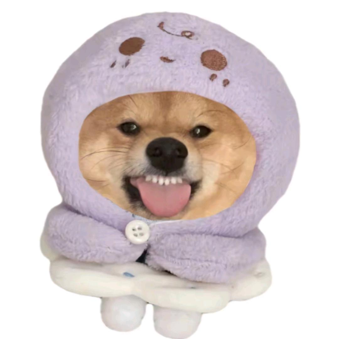 小宁酱ovo