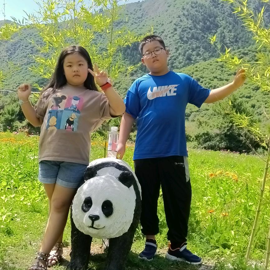 梦幻。。。