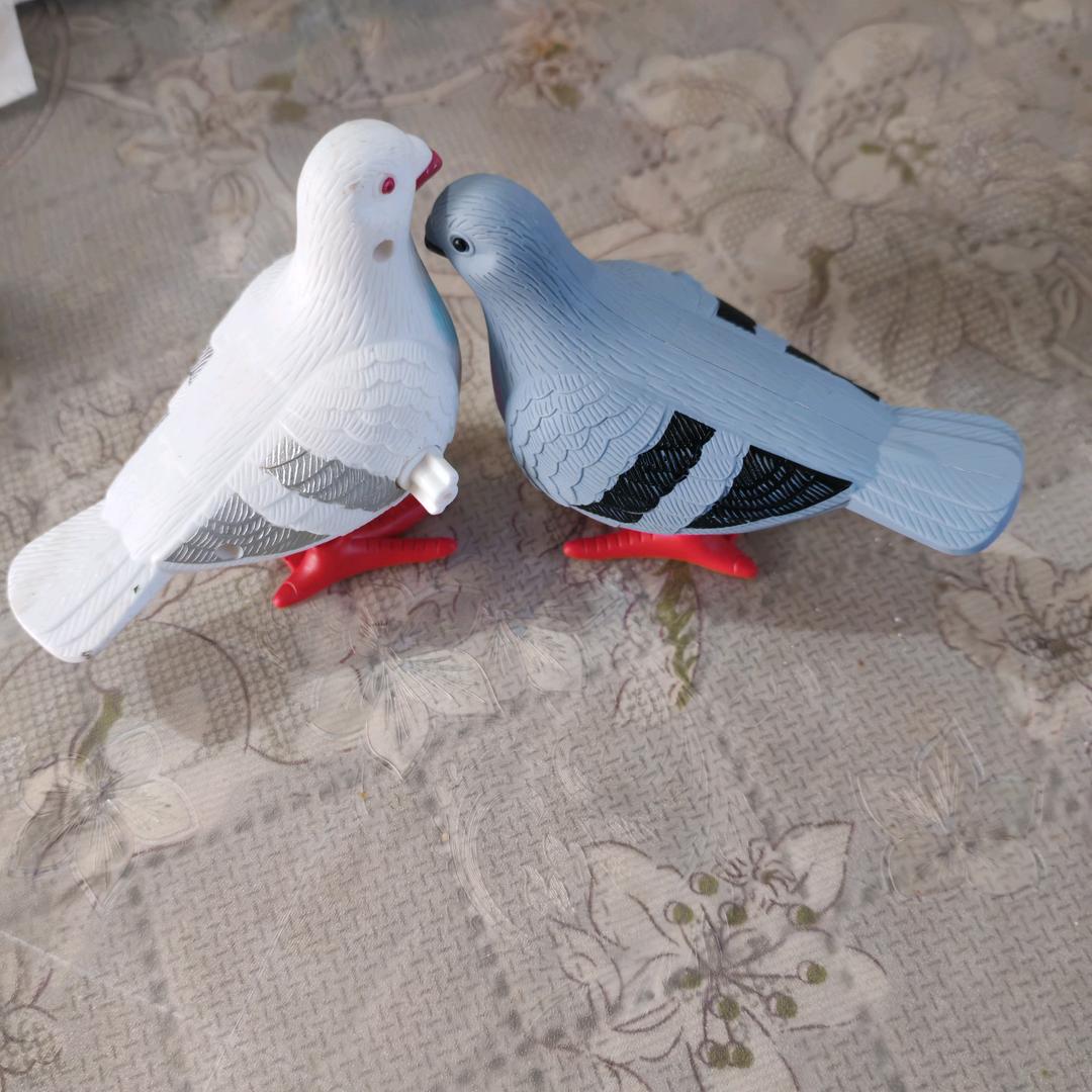 只 能  相 信 自 己