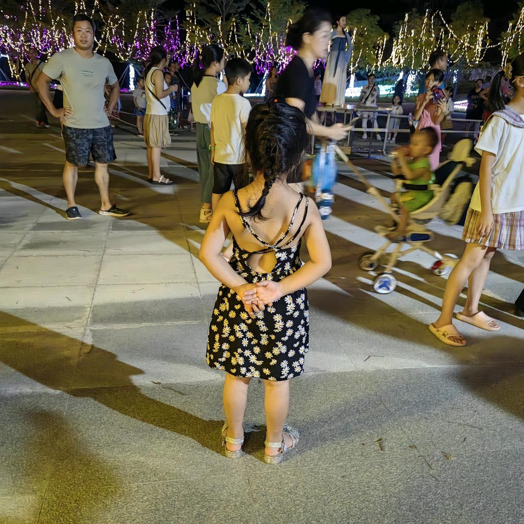 🌸雪花里的蝴蝶🌸