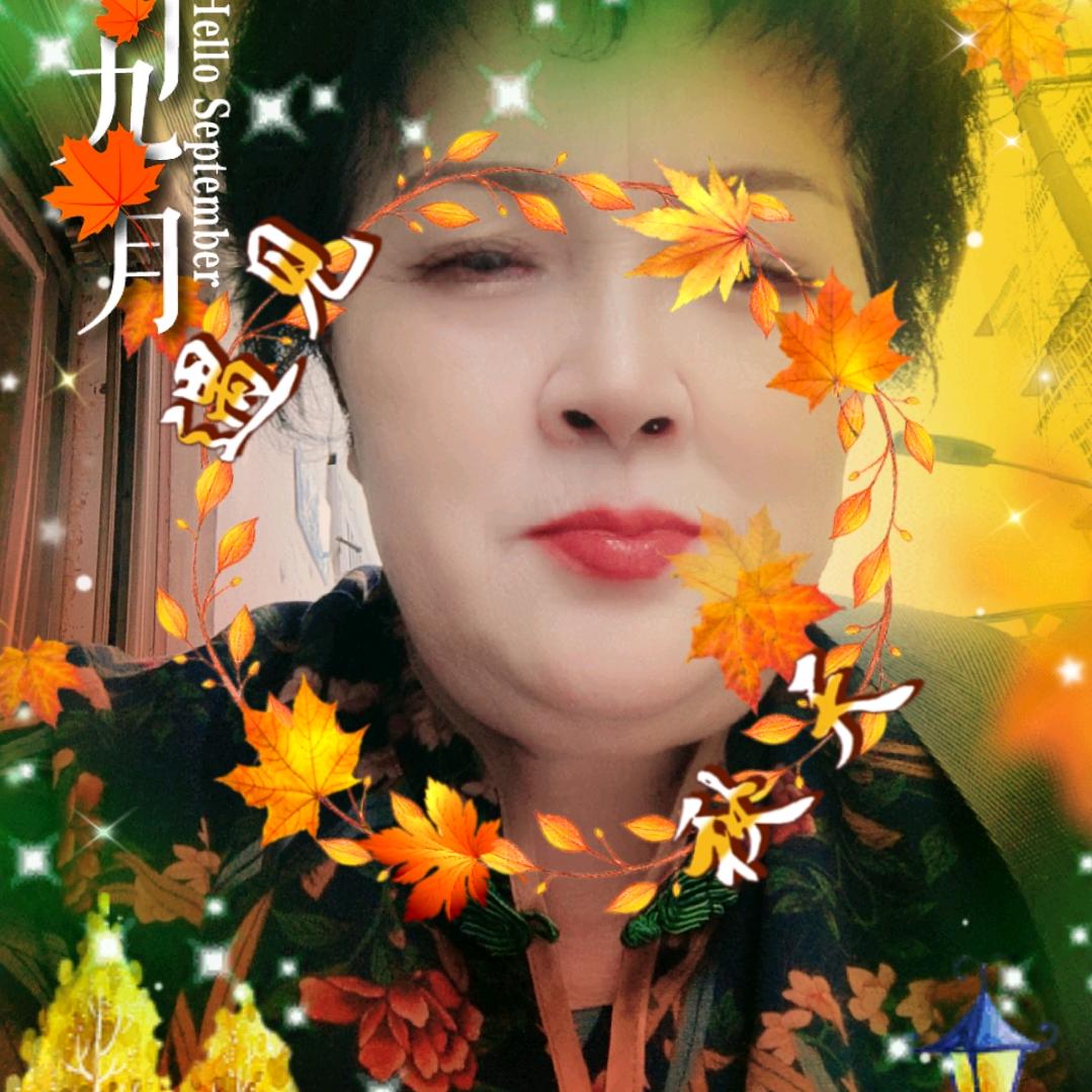 月明心灿